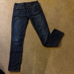 Hudson Jeans Dark Blue Women's Skinny Jeans